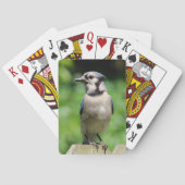 Blue Jay on Fence Bird Lover'sトランプ トランプ (裏面)