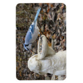 Blue Jay on Rabbit鳥フィーダーマグネット マグネット (縦)