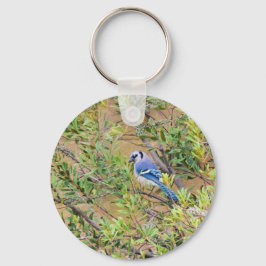 Blue Jay on Wax Myrtle キーホルダー