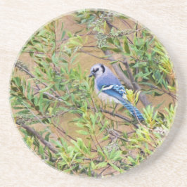 Blue Jay on Wax Myrtle コースター
