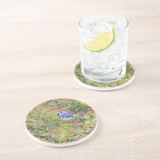 Blue Jay on Wax Myrtle コースター (側面)