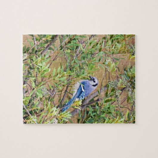 Blue Jay on Wax Myrtle ジグソーパズル (横)