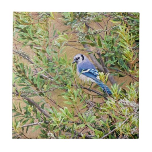Blue Jay on Wax Myrtle タイル (正面)