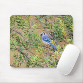 Blue Jay on Wax Myrtle マウスパッド (マウス)