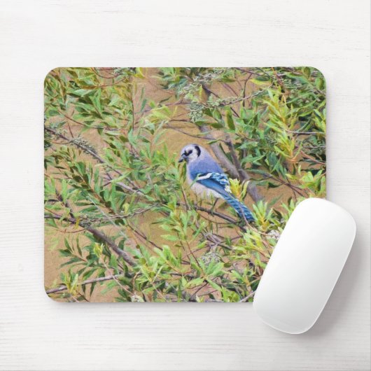 Blue Jay on Wax Myrtle マウスパッド (マウス)