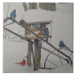 Blue Jays at Breakfast タイル