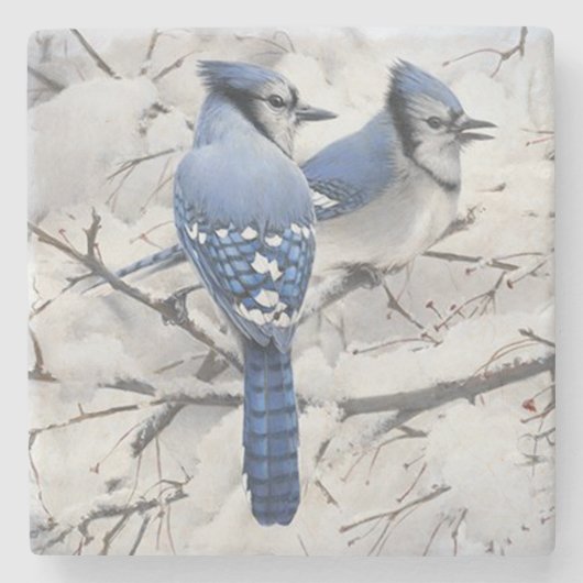 Blue Jays in a Snow Filled Tree ストーンコースター (正面)