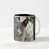 Blue kitty mug ツートーンマグカップ (正面右)