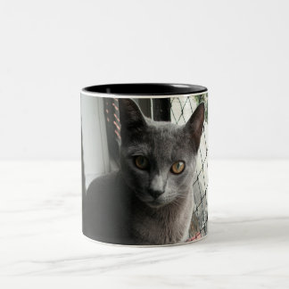 Blue kitty mug ツートーンマグカップ