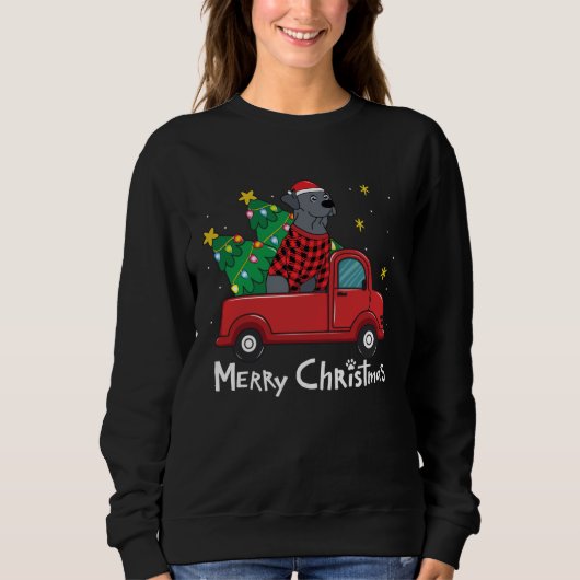 Blue Lace Christmas  Truck  Blue Lacy スウェットシャツ (正面)