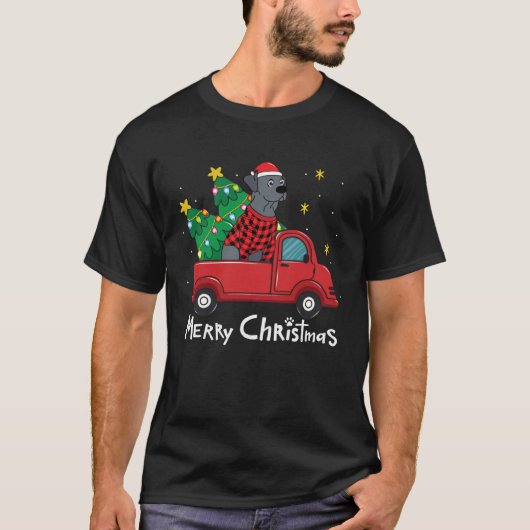 Blue Lace Christmas Truck Blue Lacy Tシャツ (正面)