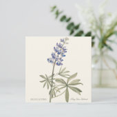 Blue Lupine by Mary Walcott (スタンド正面)