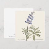 Blue Lupine by Mary Walcott (正面/裏面)