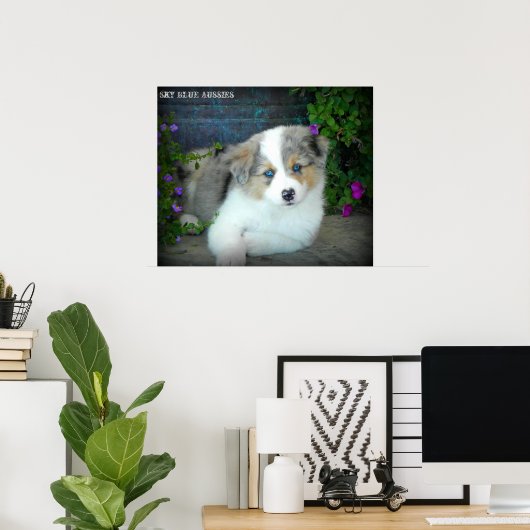 Blue Merle Aussie 3 Puppy Poster ポスター (ホームオフィス)