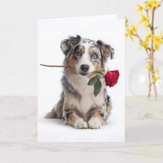 Blue Merle Aussie Valentine – Devoted Love カード (黄色い花)