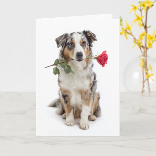 Blue Merle Aussie Valentine – Devoted Love カード (黄色い花)