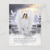 Blue Merle Collie Angel Heaven - Pet Loss Sympathy ポストカード (正面)