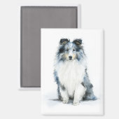 BLUE MERLE Shetland Sheepdog Watercolor Art マグネット (正面/裏面)