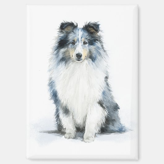 BLUE MERLE Shetland Sheepdog Watercolor Art マグネット (正面)