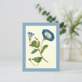 Blue Morning Glory Vine Illustration Postcard ポストカード (スタンド正面)