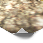 Blue Morpho、ナイアガラ・パークス、カナダ ポスター (角)