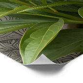 Blue Morpho Butterfly Floral Botanical Art  Poste ポスター (角)