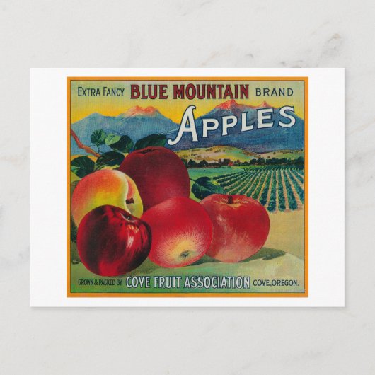Blue Mountain Apple Crate LabelCove、または ポストカード (正面)