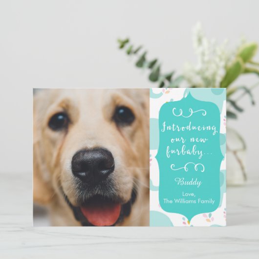 Blue New Furbaby発表 案内状 (スタンド正面)