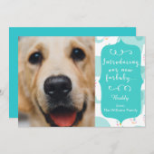 Blue New Furbaby発表 案内状 (正面/裏面)