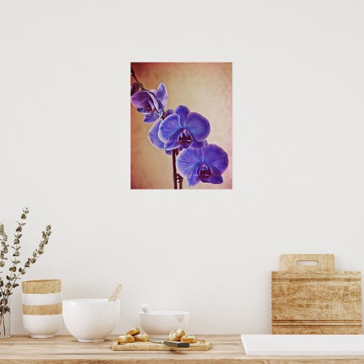 Blue Orchid Photographic Art Print ポスター (キッチン)