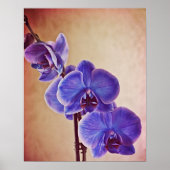 Blue Orchid Photographic Art Print ポスター (正面)