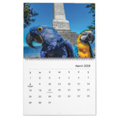 Blue Parrot Books 2026 Calendar カレンダー (3月 2026)