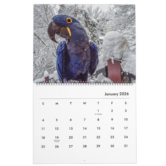 Blue Parrot Books 2026 Calendar カレンダー (1月 2026)