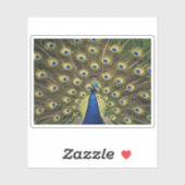 Blue Peacock シール (シート)