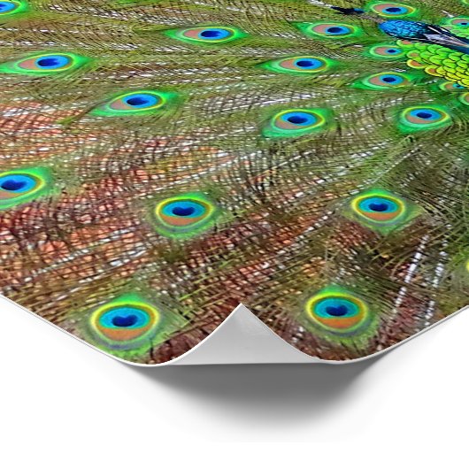 Blue Peacock #3ポスター ポスター (角)