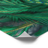 Blue Peacock Bird ポスター (角)