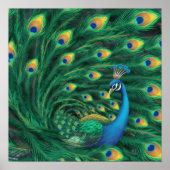 Blue Peacock Bird ポスター (正面)