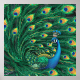 Blue Peacock Bird ポスター