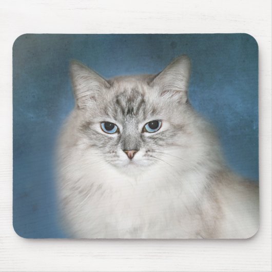 Blue point Himalayan cat マウスパッド (正面)