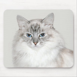 Blue point Himalayan cat マウスパッド