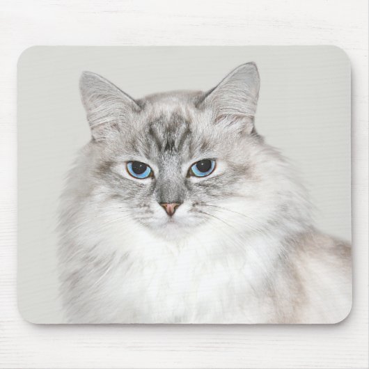 Blue point Himalayan cat マウスパッド (正面)