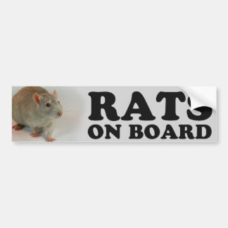 (Blue) Rats on board バンパーステッカー
