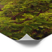 Blue Ridge panorama at I-26 near NC/TN border ポスター (角)