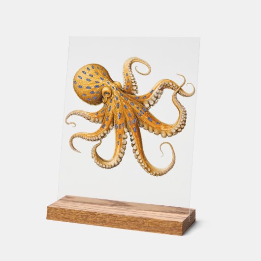 Blue-Ringed Octopus Desk Sign Sign アクリルサイン (傾斜)