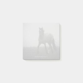 Blue Roan Mist - 3" x 3" Notes ポストイット