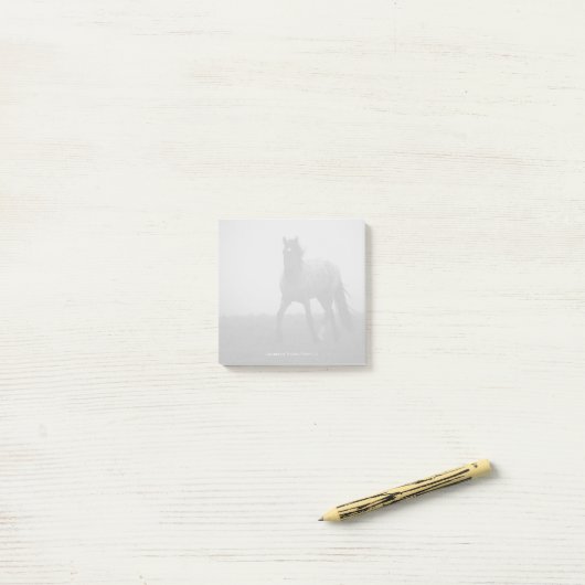 Blue Roan Mist - 3" x 3" Post-it Notes ポストイット (デスク上)