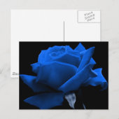Blue Rose ポストカード (正面/裏面)