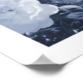 Blue Roses Floral Garden Photo Art Print Poster ポスター (角)