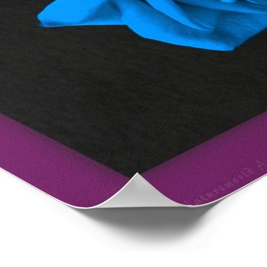 Blue Roses Print -20x24 -other sizes available ポスター (角)