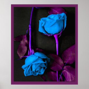 Blue Roses Print -20x24 -other sizes available ポスター